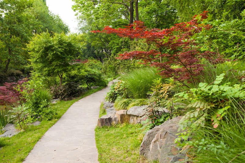 how to add texture to your landscape design